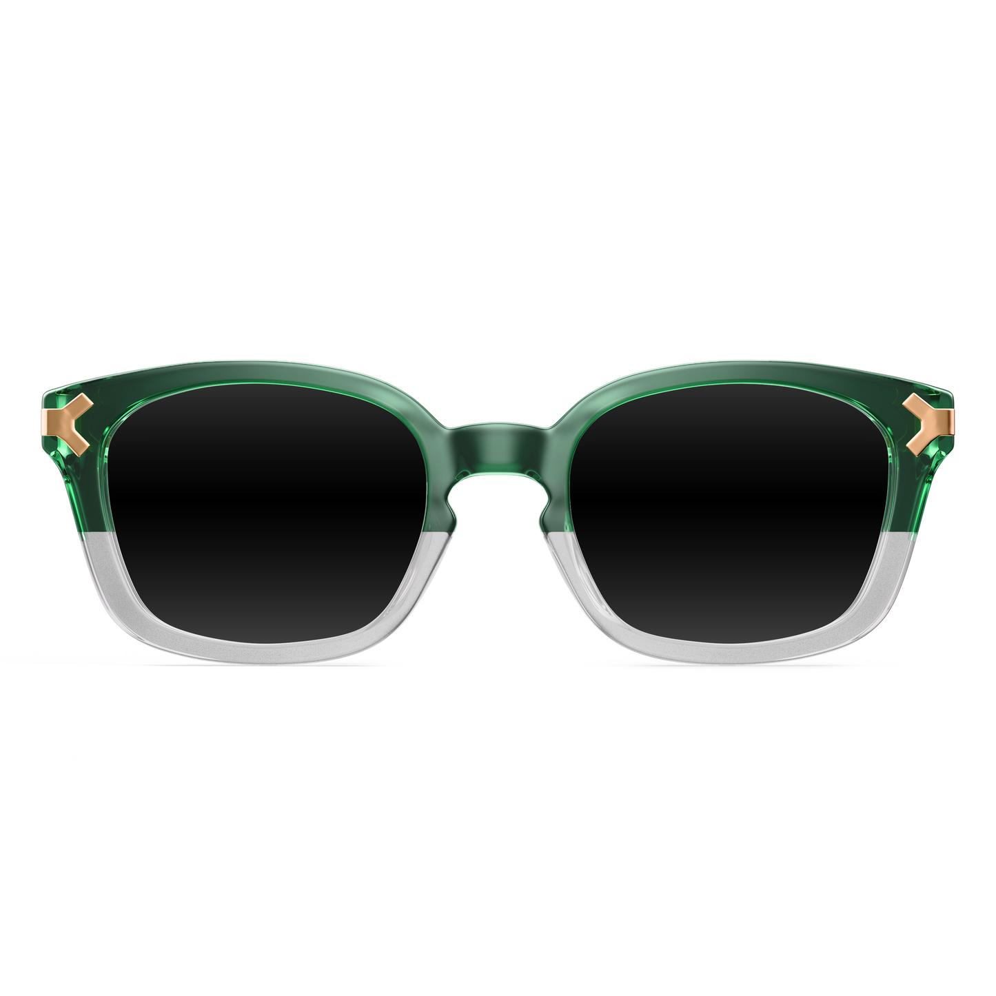 CIRCA DIEZ CD100 Polarized Sunglasses